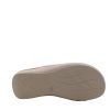 Cerrada SUAPEL - Thumbnail Image 8